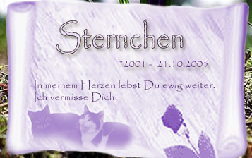Sternchens Gedenkseite